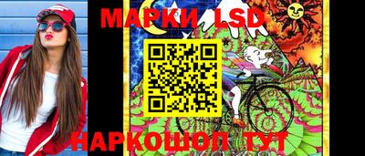 шишки Краснознаменск