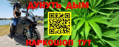 ПСИЛОЦИБИНОВЫЕ ГРИБЫ Краснодар