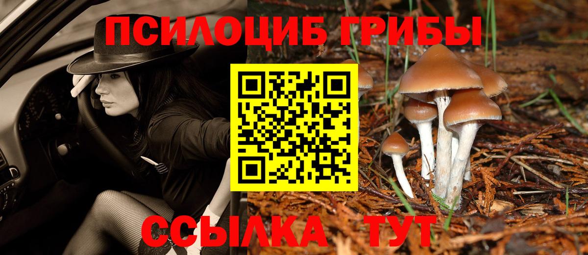 Псилоцибиновые грибы Magic Shrooms Костомукша