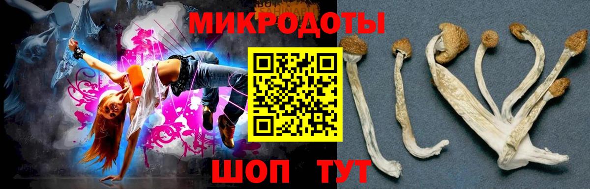 Костомукша  Псилоцибиновые грибы MAGIC MUSHROOMS  Вход с VPN 